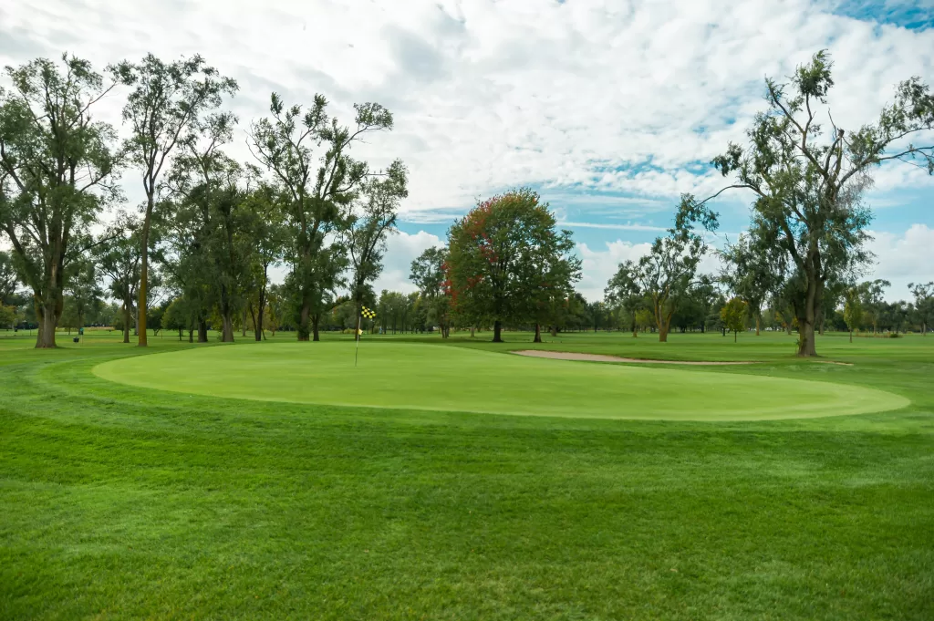 golf course photo by mark requena photography
