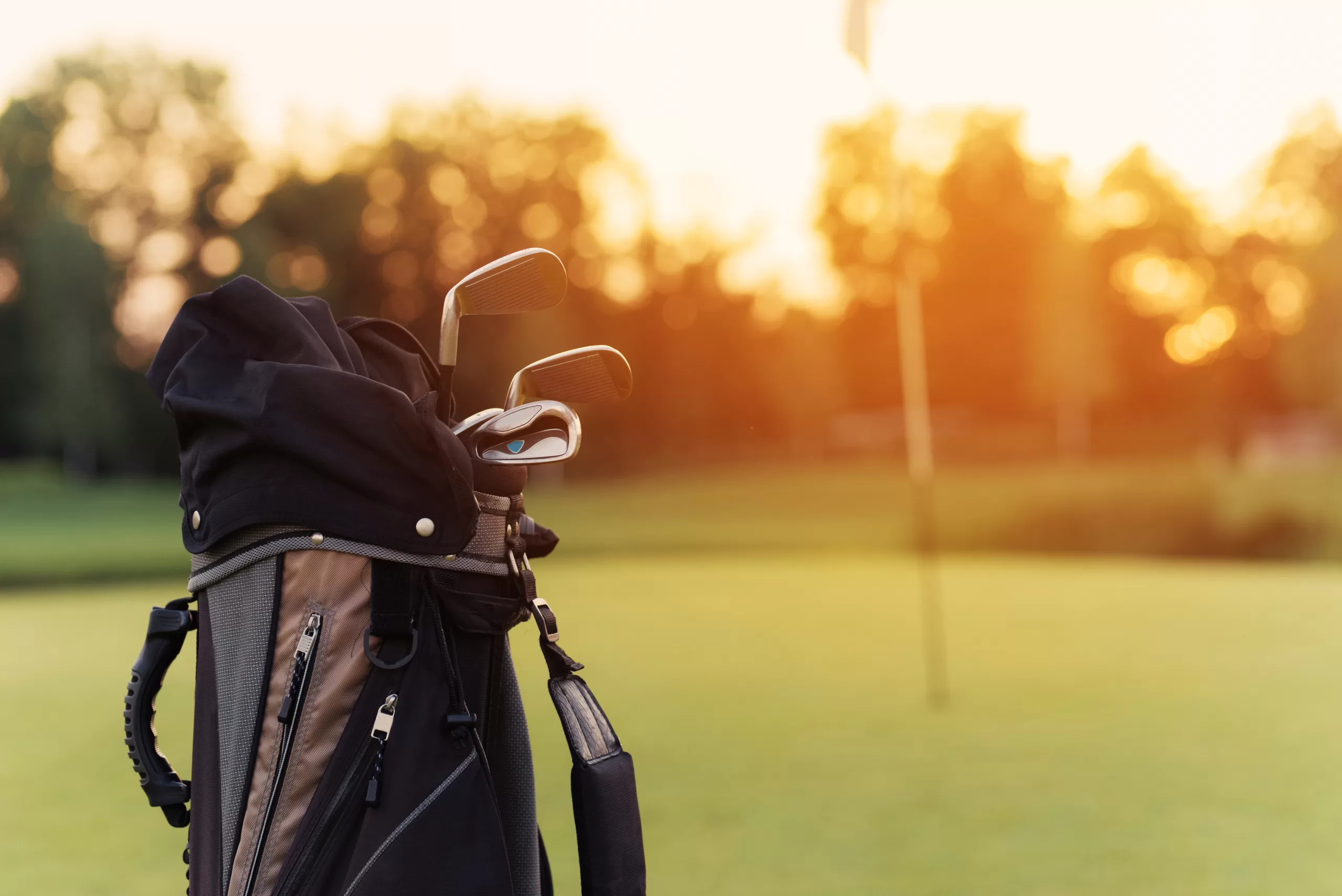 Close up. A bag for golf clubs with golf clubs on the sunset background
